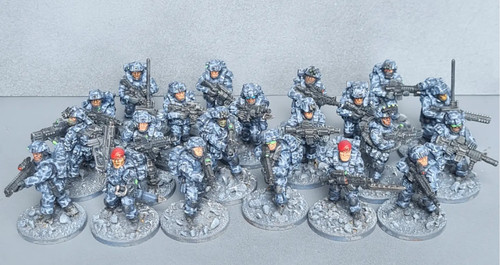Astra militarum imperial guard - militarum/imperial,